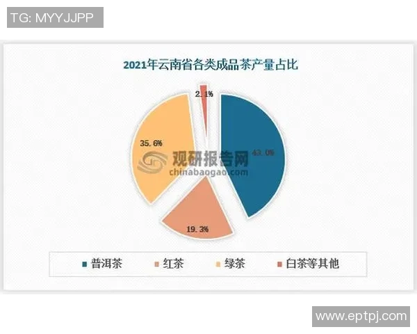 足球蛇货的规律解析与市场趋势的深度剖析与应对策略